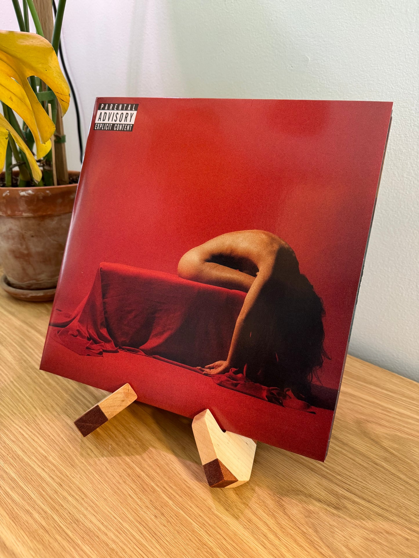 Vinyl Record Stand