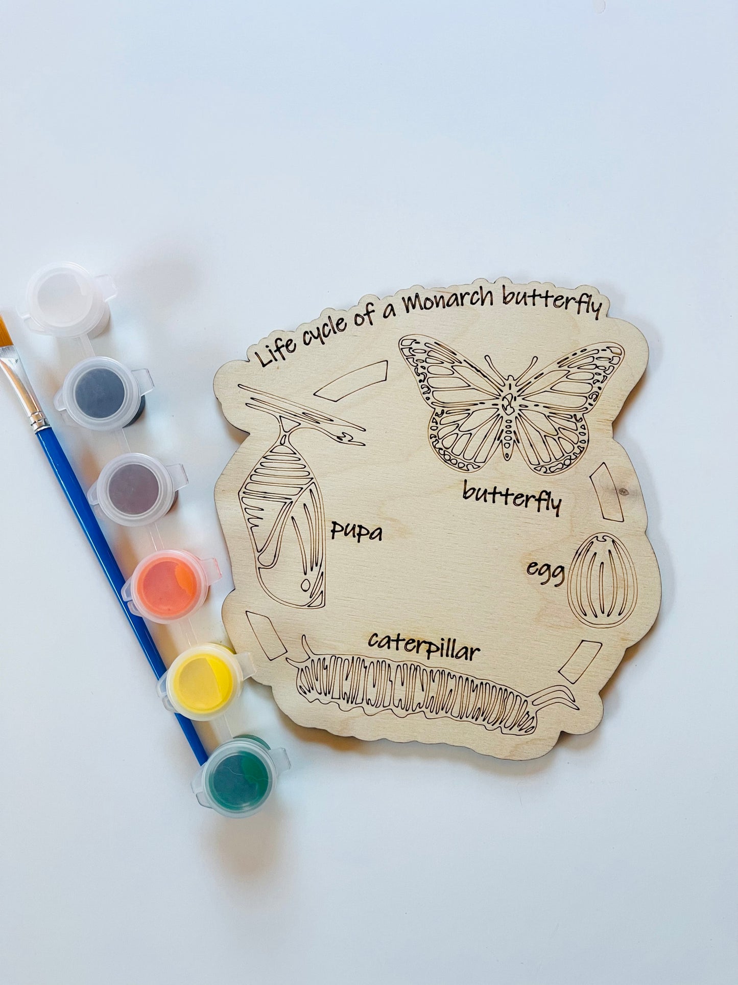DIY Children’s Paint Kit
