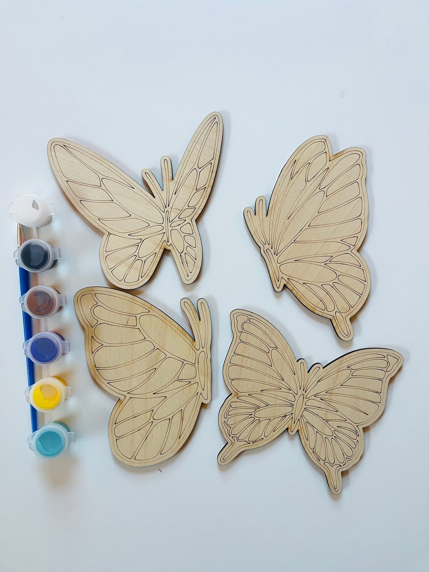 DIY Children’s Paint Kit