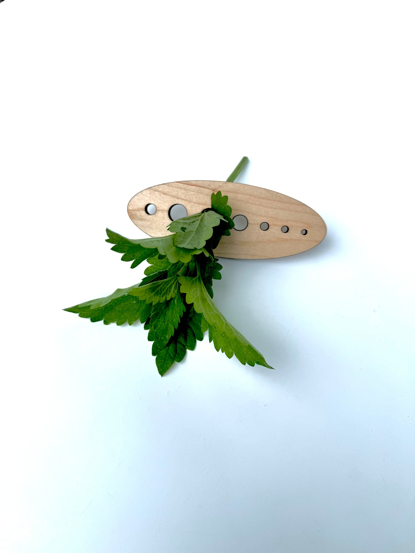 Eco-Friendly Herb Stripper