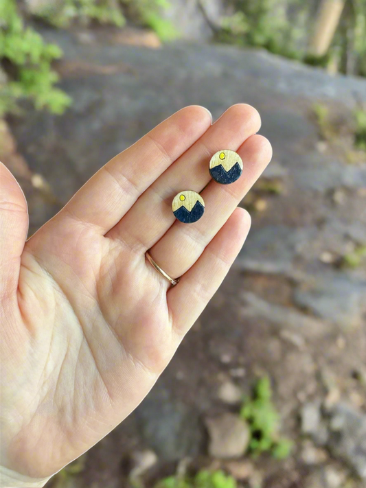 Adventure Time - Wooden Earring Studs