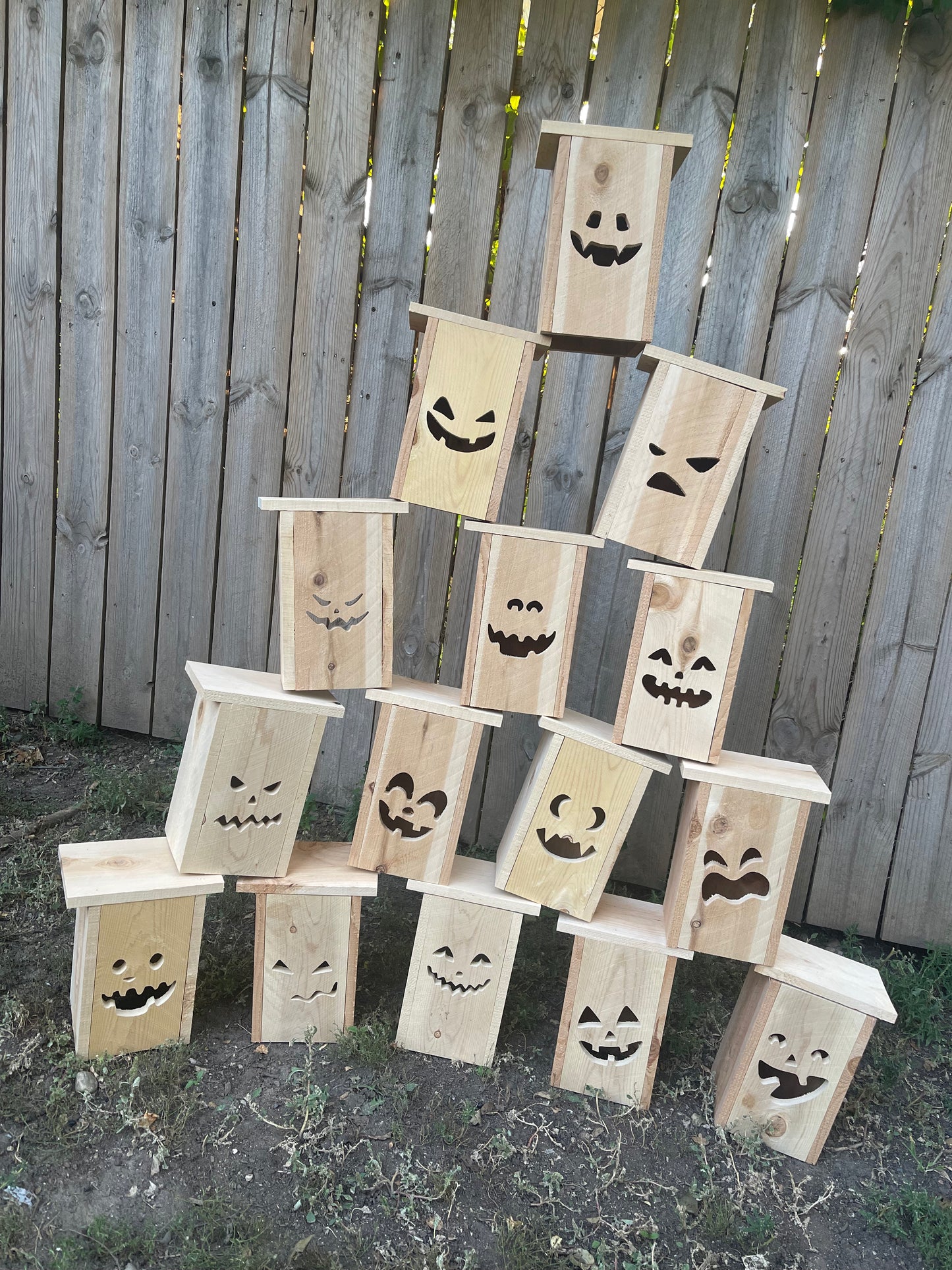 Cedar Jack O'Lanterns